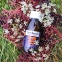 Сироп із чорної бузини Sambucol Immuno Forte Liquid 120 мл 8
