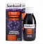 Сироп из черной бузины Sambucol Immuno Forte Liquid 120 мл
